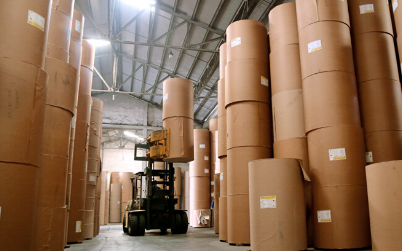 Luật Thẩm định Chuỗi Cung ứng và "Hộ chiếu Số" cho ngành giấy xuất khẩu
